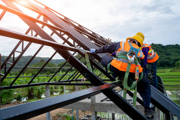 Best Metal Roofing Contractor  in Hoopeston, IL